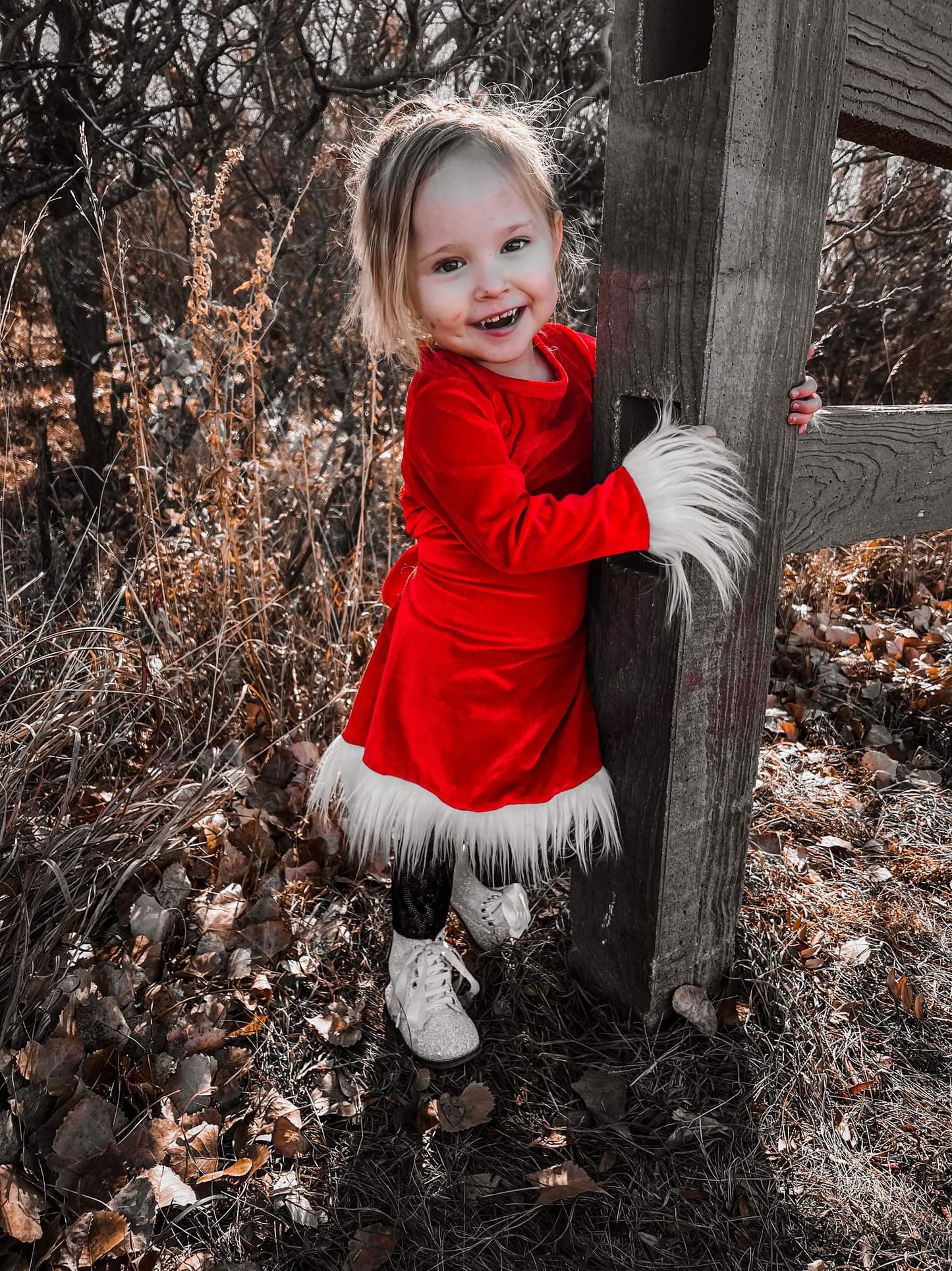 RED VELVET  DRESS